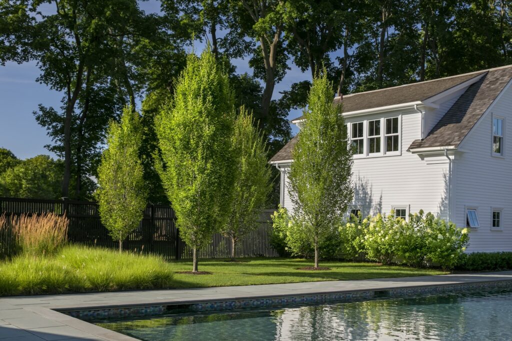 Landscape design with a house, patio, plantings, hardscapes, and pool